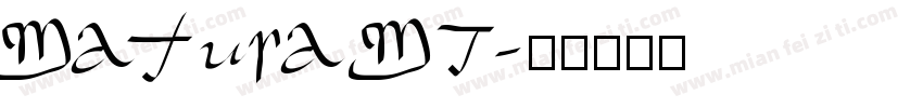 Matura MT字体转换